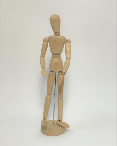 Artist Articulated Model