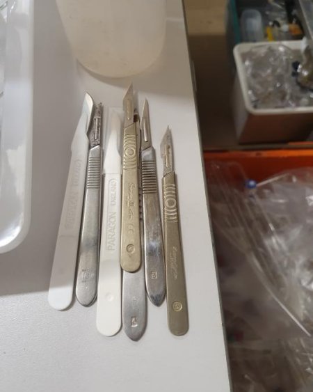 x6 Scalpels 