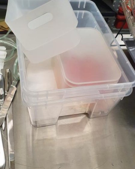 Plastic trays some dressed some undressed x5