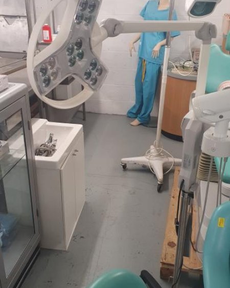 Articulated Examination Lamp on Stand