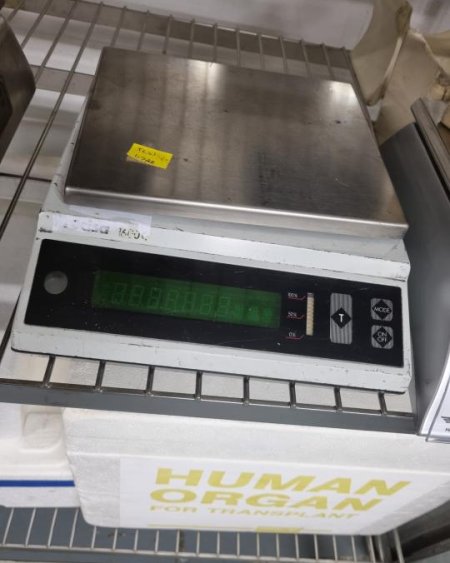 Mortuary weighing scale 