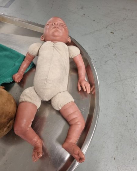 Realistic Baby Model 