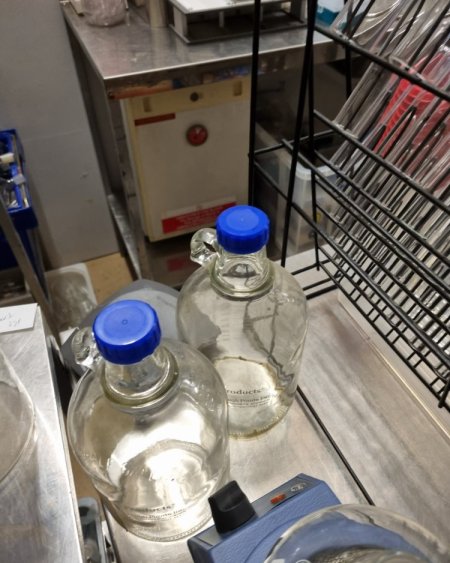 blue lid jugs 