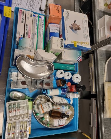 dressed trays blue vets 