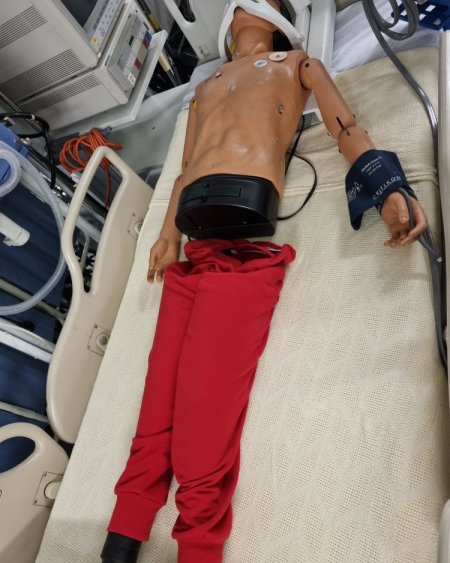 Resus Dummy 2 parts