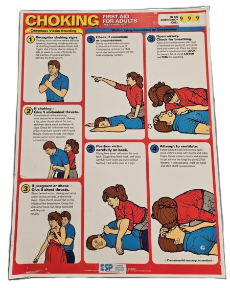 Laminated First Aid For Adults Poster