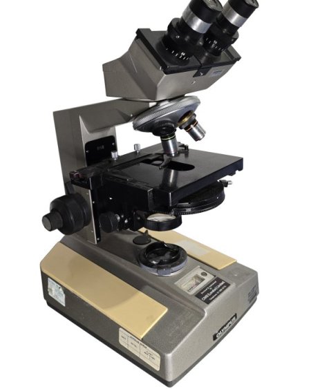 Microscope