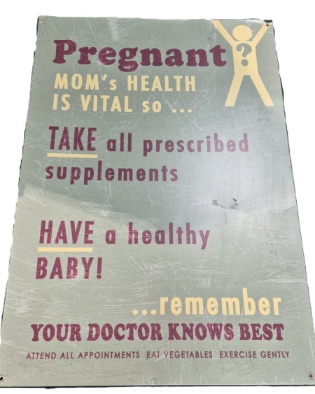 Pregnant Poster Large