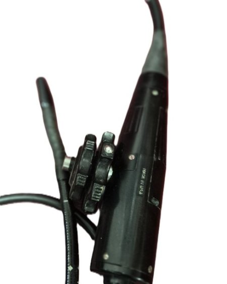 Endoscope Moveable End
