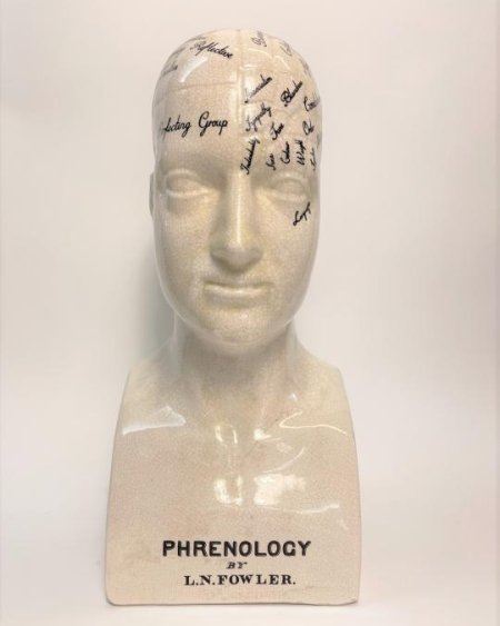 Phrenology Head Large