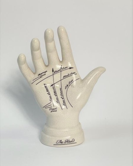Accupuncture hand model