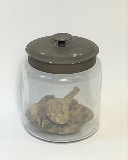 Specimen Jar with Prop Part Intestine