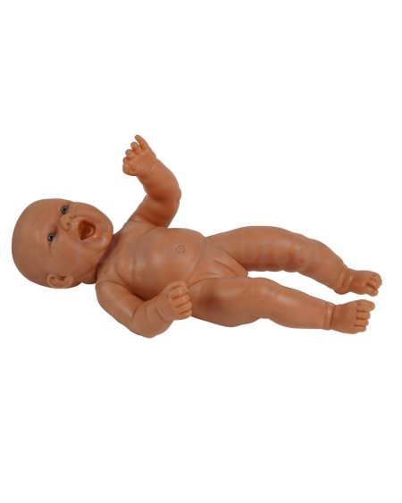  Baby Care Model