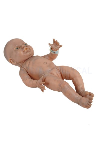  Baby Care Model