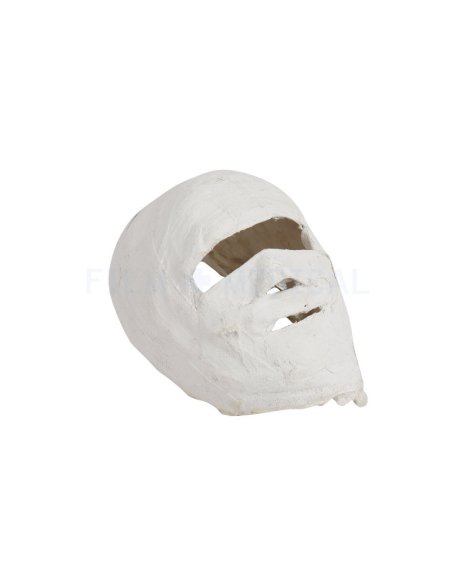 Face Cast 