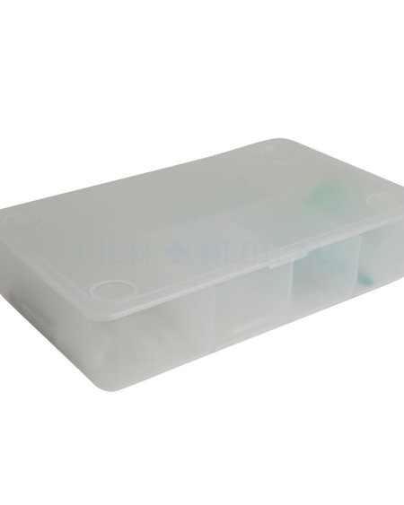 Frosted Long Tray Dressed