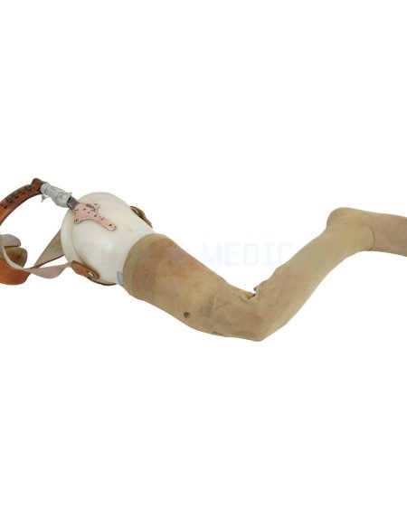 Prosthetic Leg With Waist Belt