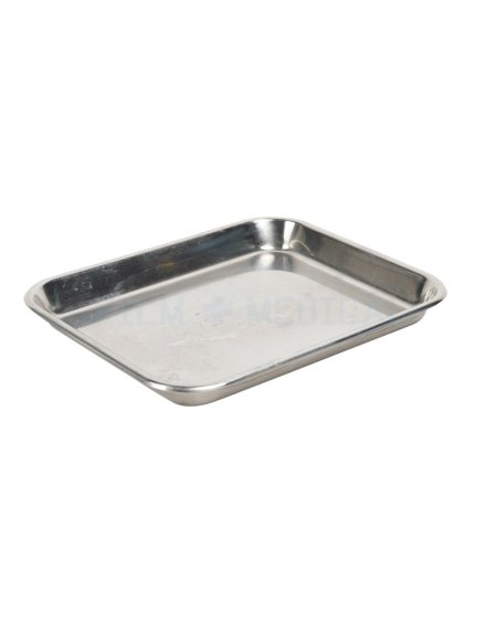 Small Stainless Steel Tray