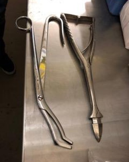 Forceps