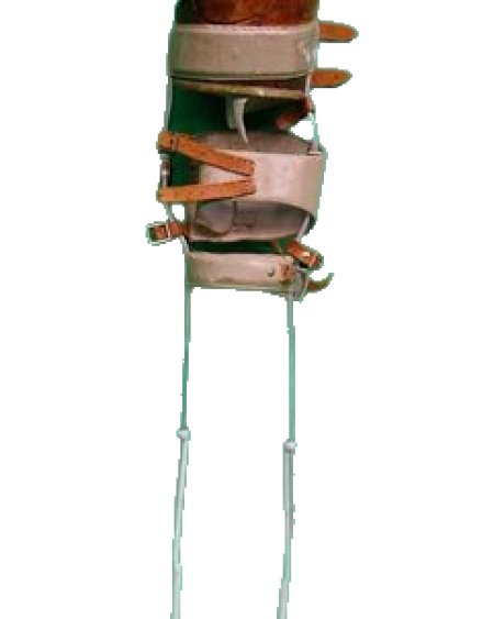 Period Leg Calliper