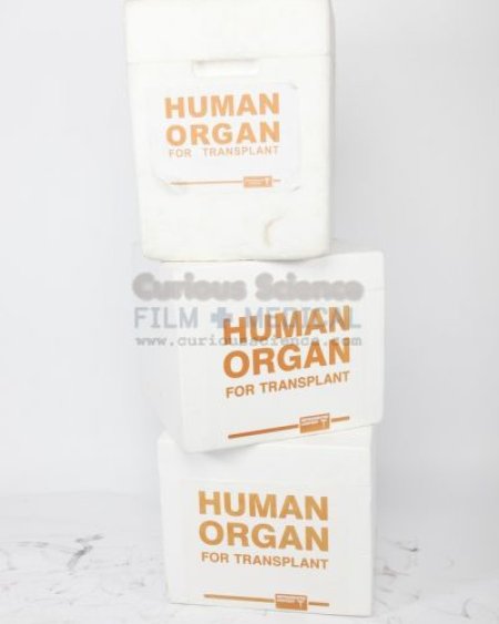 Human Organ Transplant Containers