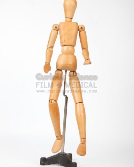 Lay Model