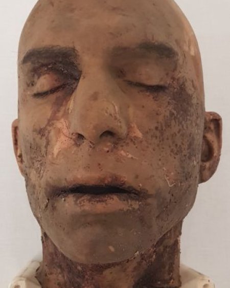 Severed Synthetic Head