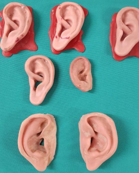 Ear model
