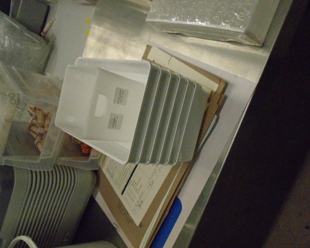 white tray