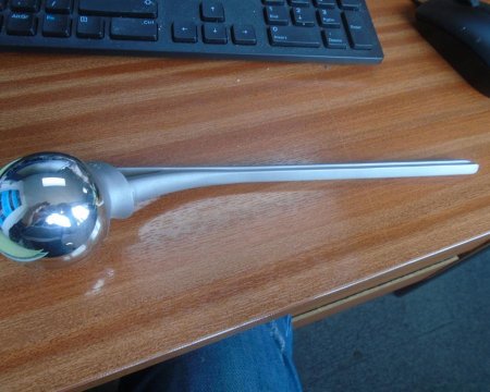 hip joint 