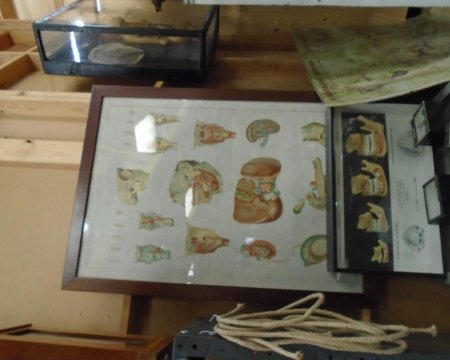 Period framed poster 