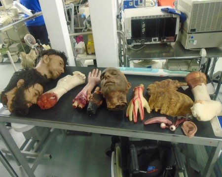 body parts 2 feet x3 arms 1 ear 1 rib cage