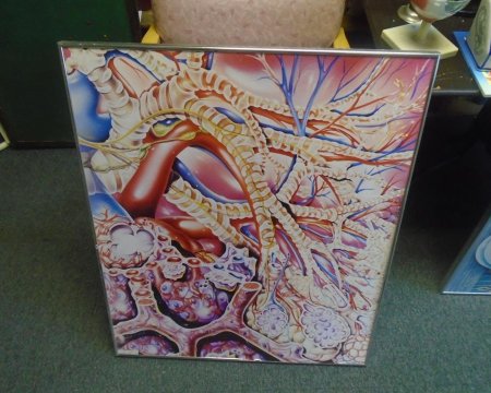 Large silver framed poster 