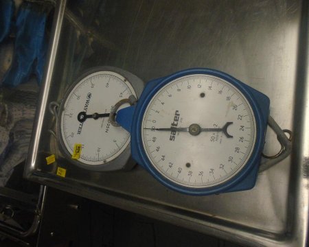 Set of hanging scales