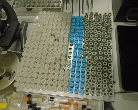 Large Test Tube Rack 