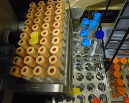 S/S Test tube rack