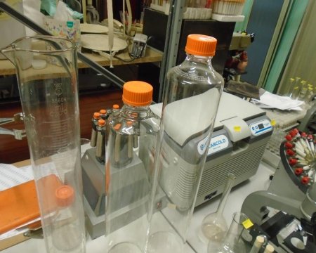 Orange Topped Glassware