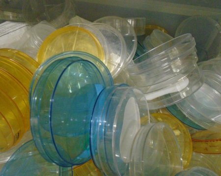 Plastic petri dish stack
