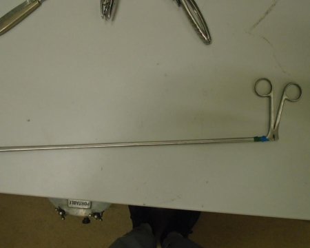 Large Forceps 
