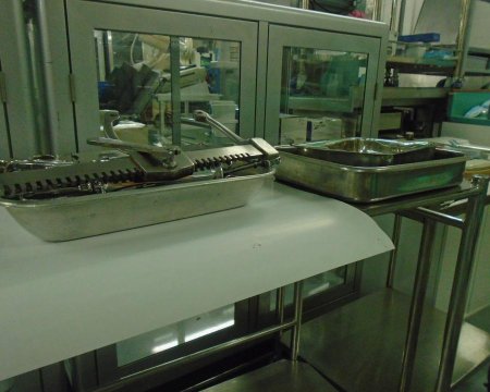 S/S Tray Medium