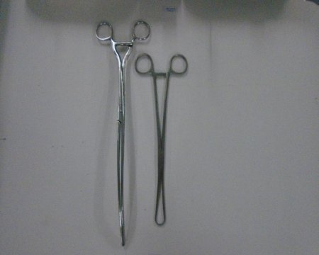 Large Forceps