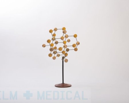 Molecular Model on Stand
