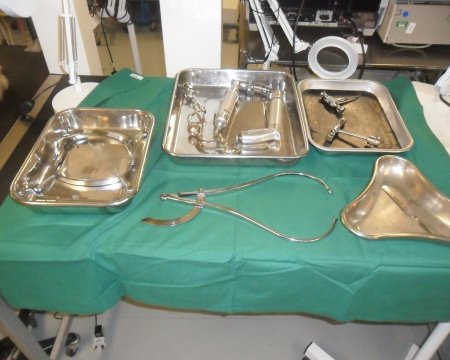 Dissection Tray black base