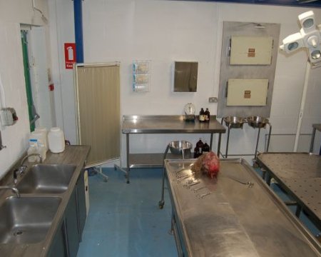 Mortuary 1