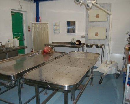 Mortuary 2