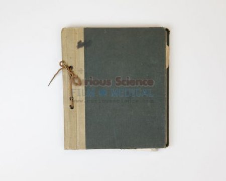 Medical Journal