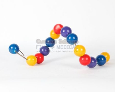 Molecular Model