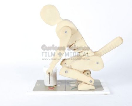 Lifting Demonstration Model