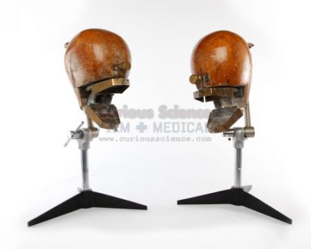 Dental Phantoms
