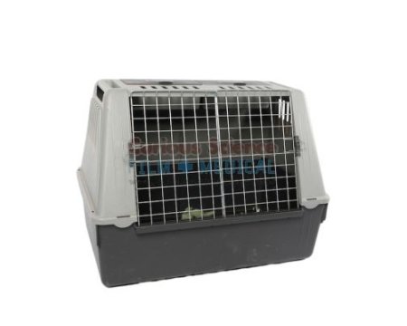 Small Animal Carrier